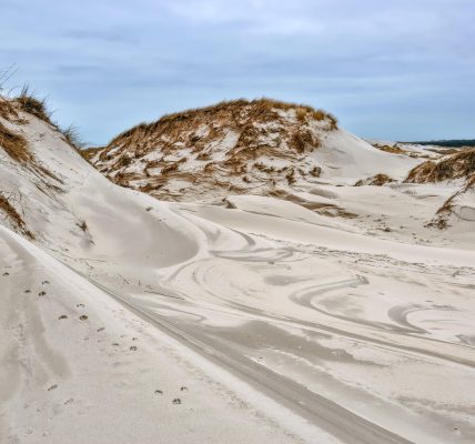 découvrez ce qu’est une réserve écologique : des espaces naturels protégés dédiés à la préservation de la biodiversité, à la recherche scientifique et à l’éducation environnementale.