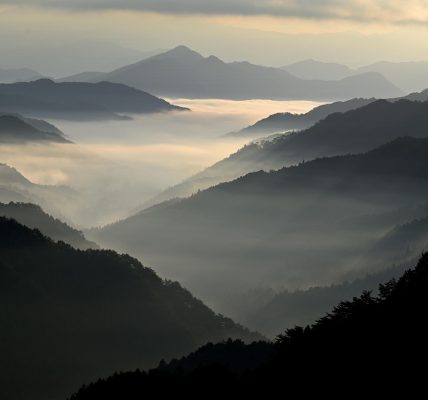 découvrez l'art du voyage à travers nos conseils, guides et astuces pour explorer le monde, organiser vos séjours, et vivre des expériences inoubliables.