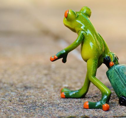 découvrez nos conseils, astuces et inspirations pour voyager à travers le monde. préparez vos prochaines aventures avec nos guides pratiques et idées de destinations incontournables.