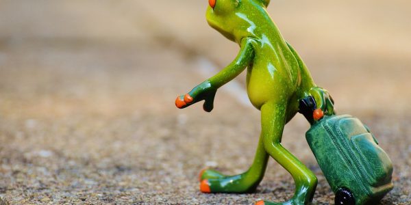 découvrez nos conseils, astuces et inspirations pour voyager à travers le monde. préparez vos prochaines aventures avec nos guides pratiques et idées de destinations incontournables.