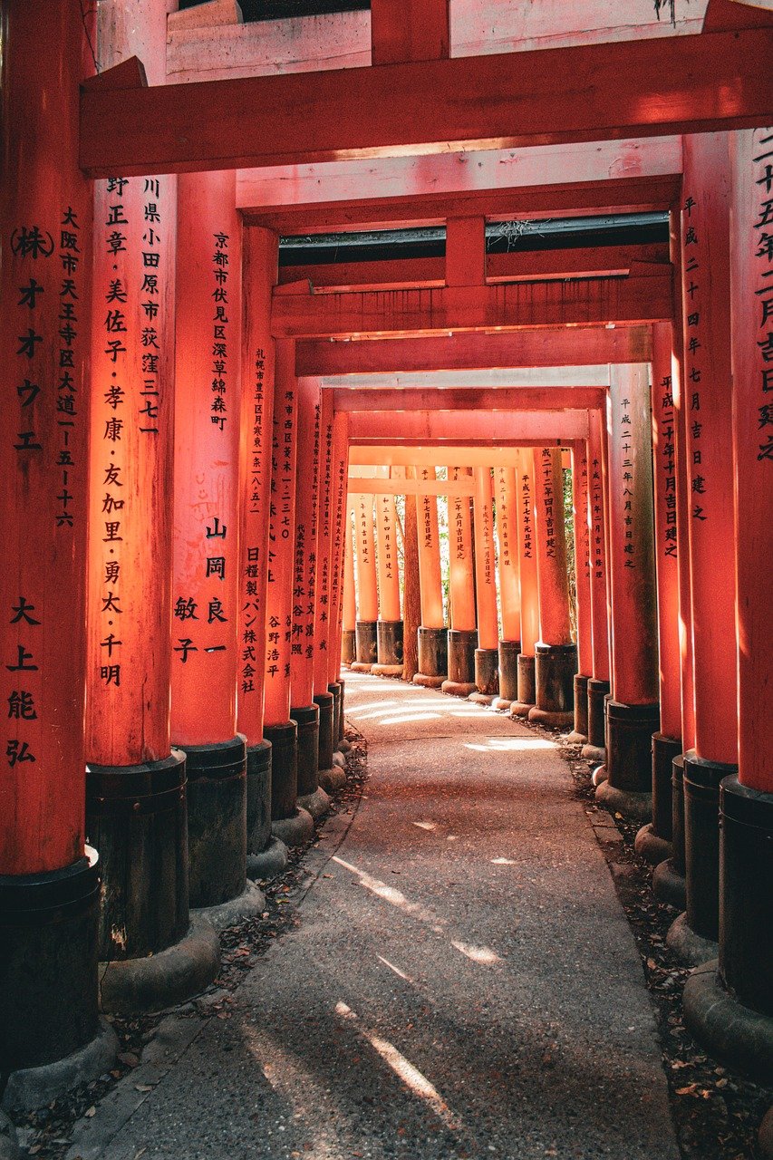 découvrez l'univers fascinant du voyage et des différentes cultures à travers des conseils, des récits et des inspirations pour explorer le monde autrement.