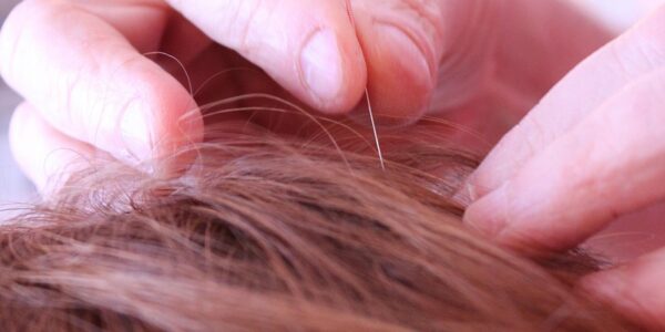 découvrez le tourisme alternatif : des expériences authentiques et durables loin des sentiers battus pour explorer de nouvelles cultures et modes de vie.