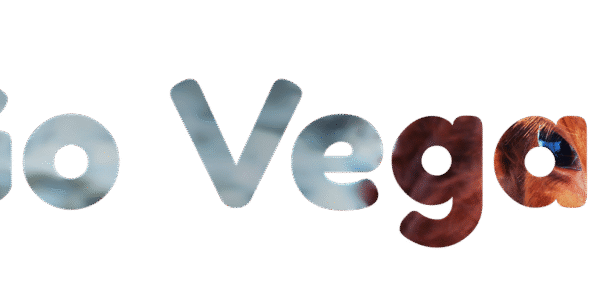 découvrez le voyage éthique : explorez le monde tout en respectant les cultures, l'environnement et les communautés locales pour un tourisme responsable et durable.