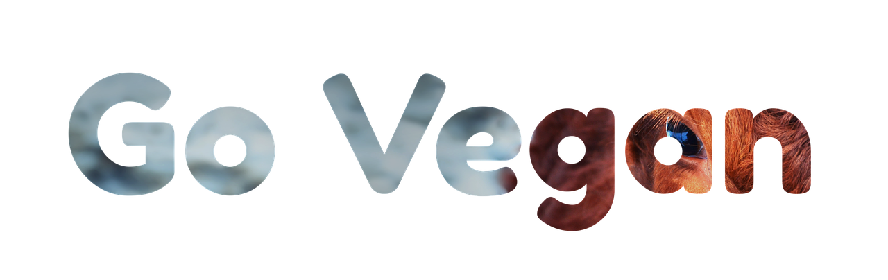 découvrez le voyage éthique : explorez le monde tout en respectant les cultures, l'environnement et les communautés locales pour un tourisme responsable et durable.