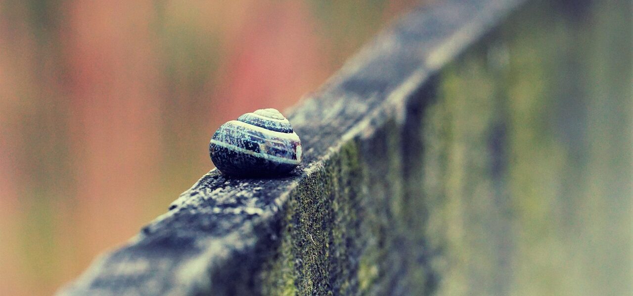 découvrez le slow travel, une approche de voyage qui privilégie la lenteur, l'immersion locale et la connexion authentique avec les cultures pour des expériences enrichissantes et durables.