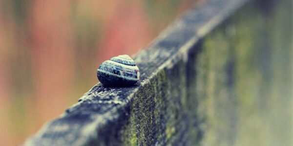 découvrez le slow travel, une approche de voyage qui privilégie la lenteur, l'immersion locale et la connexion authentique avec les cultures pour des expériences enrichissantes et durables.