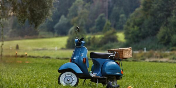 découvrez les solutions de mobilité verte pour un avenir durable : transports écologiques, innovations et conseils pour réduire votre empreinte carbone.