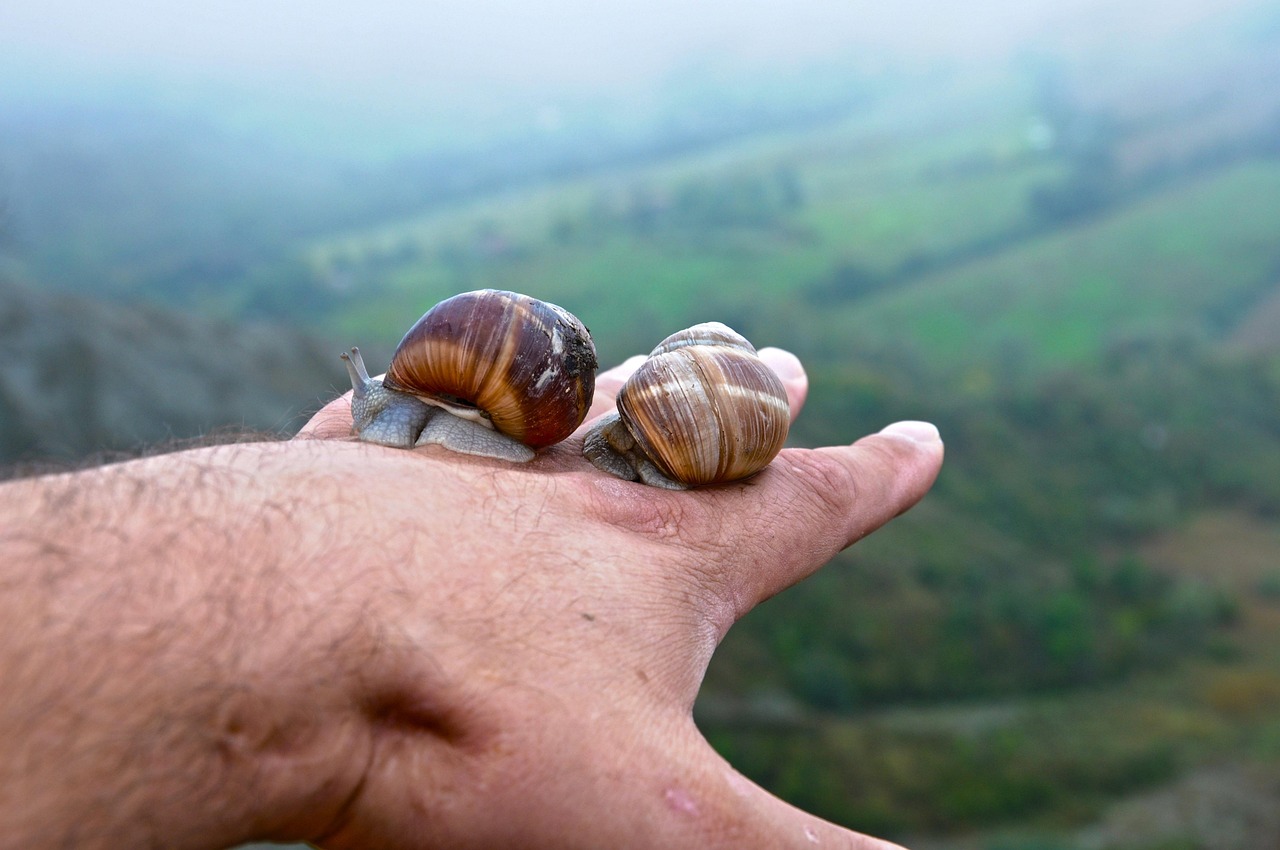 découvrez le slow travel, une approche de voyage qui privilégie la lenteur, la découverte authentique et l'immersion culturelle pour un séjour enrichissant et respectueux.